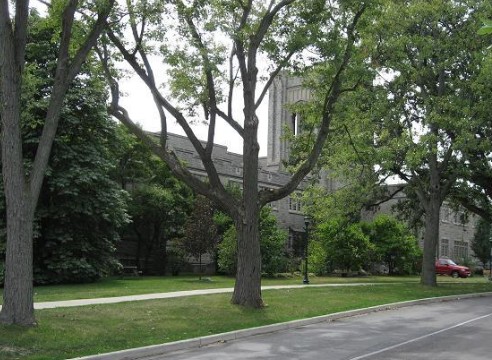加拿大西安大略大学校园小道边的景色