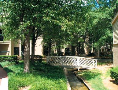 美国德克萨斯大学阿灵顿分校 校园绿化