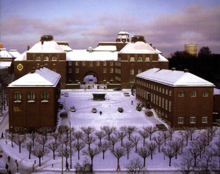 瑞典皇家理工大学雪景
