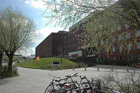 瑞典隆德大学生物技术系