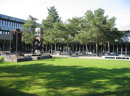 丹麦技术大学的绿色草坪