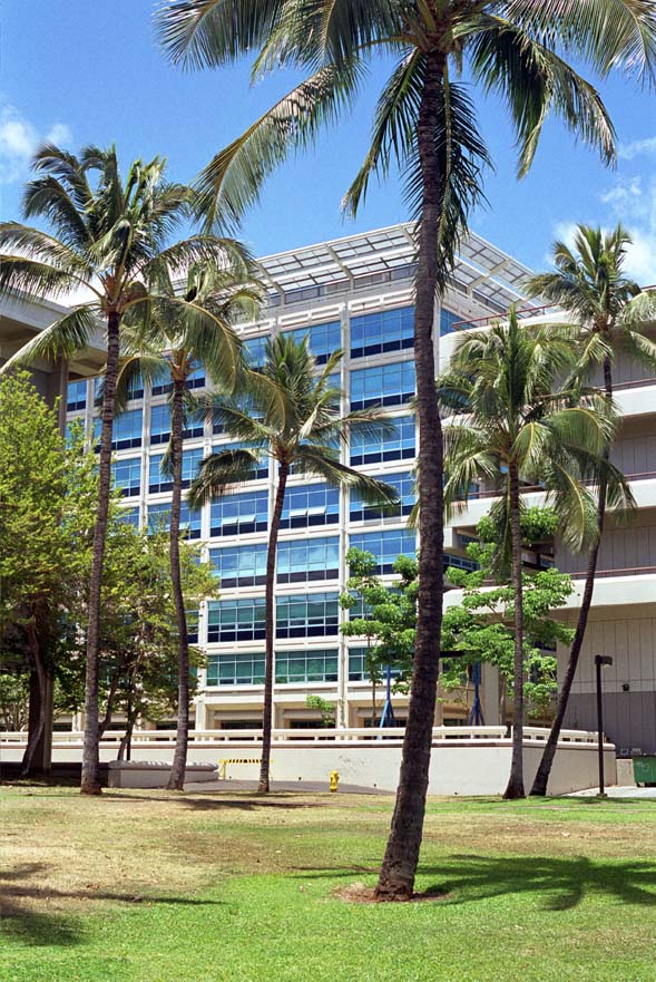 夏威夷大学玛诺分校图片